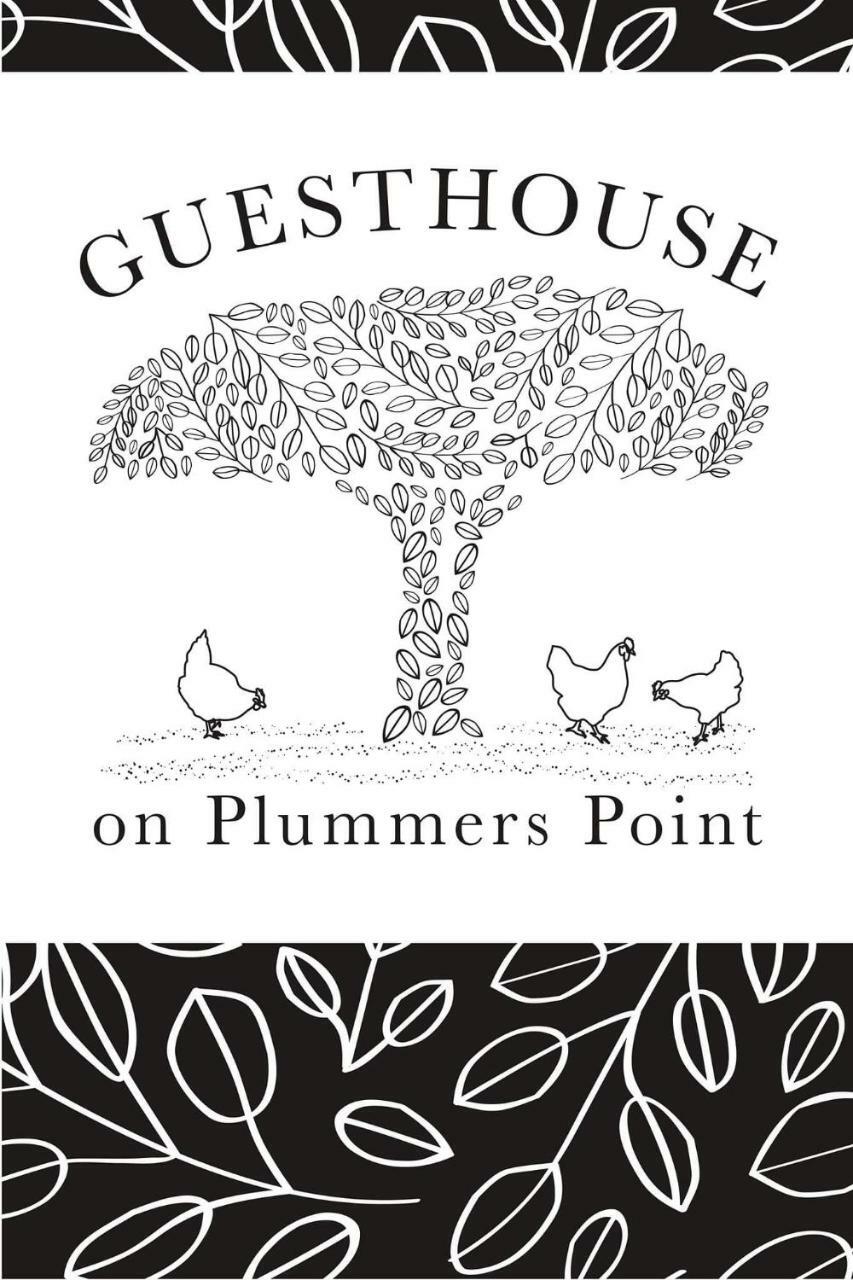 Guest House On Plummers Point Tauranga Exterior foto